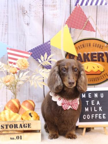 20240921ジョナくん